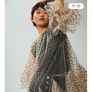 ISO Anthropologie Mini Tulle Layer Dress in the white and heart print